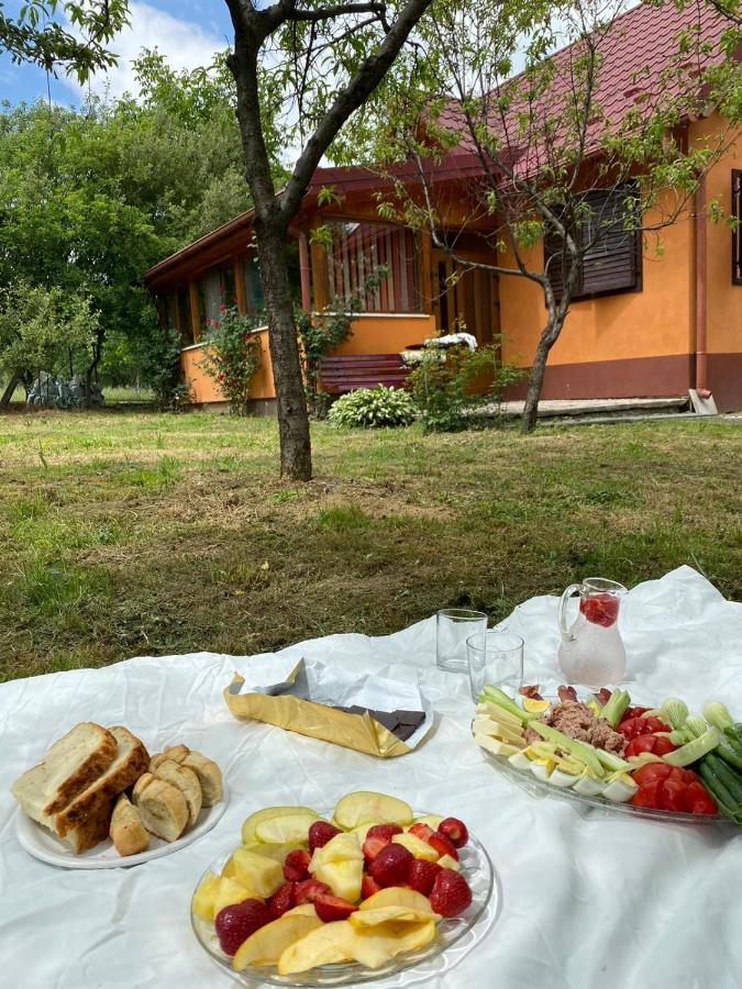 Ab'S Rustic Cabin Dejani Bagian luar foto