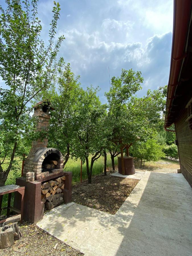 Ab'S Rustic Cabin Dejani Bagian luar foto