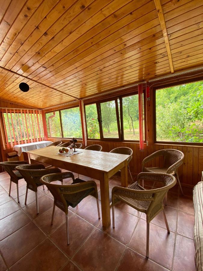 Ab'S Rustic Cabin Dejani Bagian luar foto